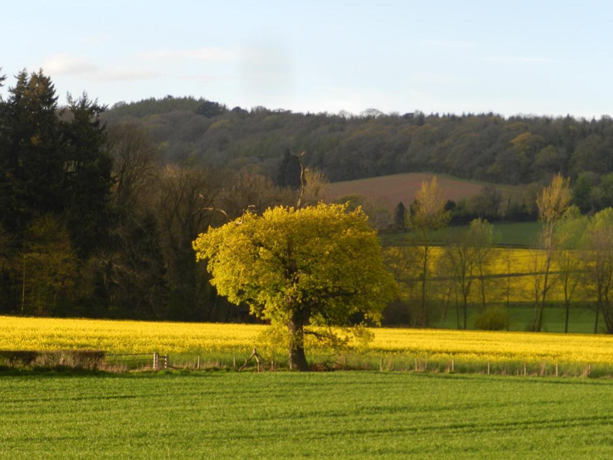 Comfy 4M -Bed Bell Tent With Great Views Hereford Eksteriør bilde